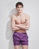 ALEXANDRE FANTASIA MACULATO VIOLA