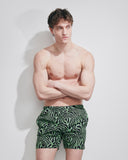 ALEXANDRE FANTASIA ZEBRATO VERDE