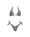 BLESSED WHITE ZEBRA FANTASY