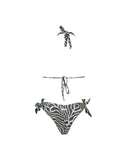 BLESSED WHITE ZEBRA FANTASY