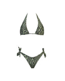 BLESSED GREEN ZEBRA FANTASY