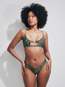 TAYLOR GREEN ZEBRA PATTERN