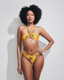 LADY FANTASIA IBISCUS GIALLO